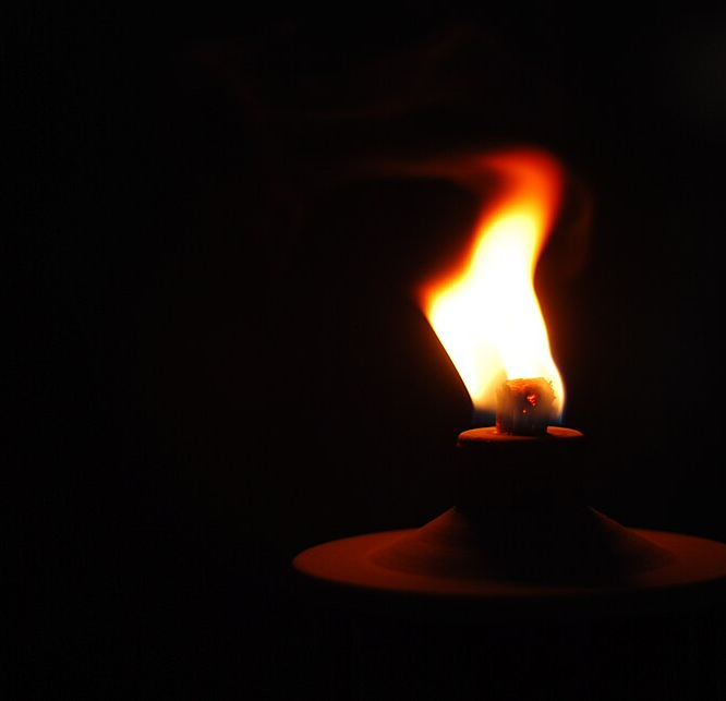 “Sparks of Divinity in Everything” -Rev. Dr. David Brown